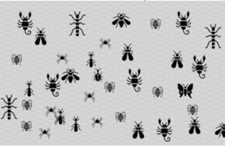 ToC Image: Bugs on a Sampling Sheet