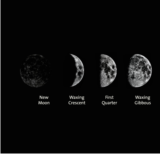 ToC Image: Phases of the Moon