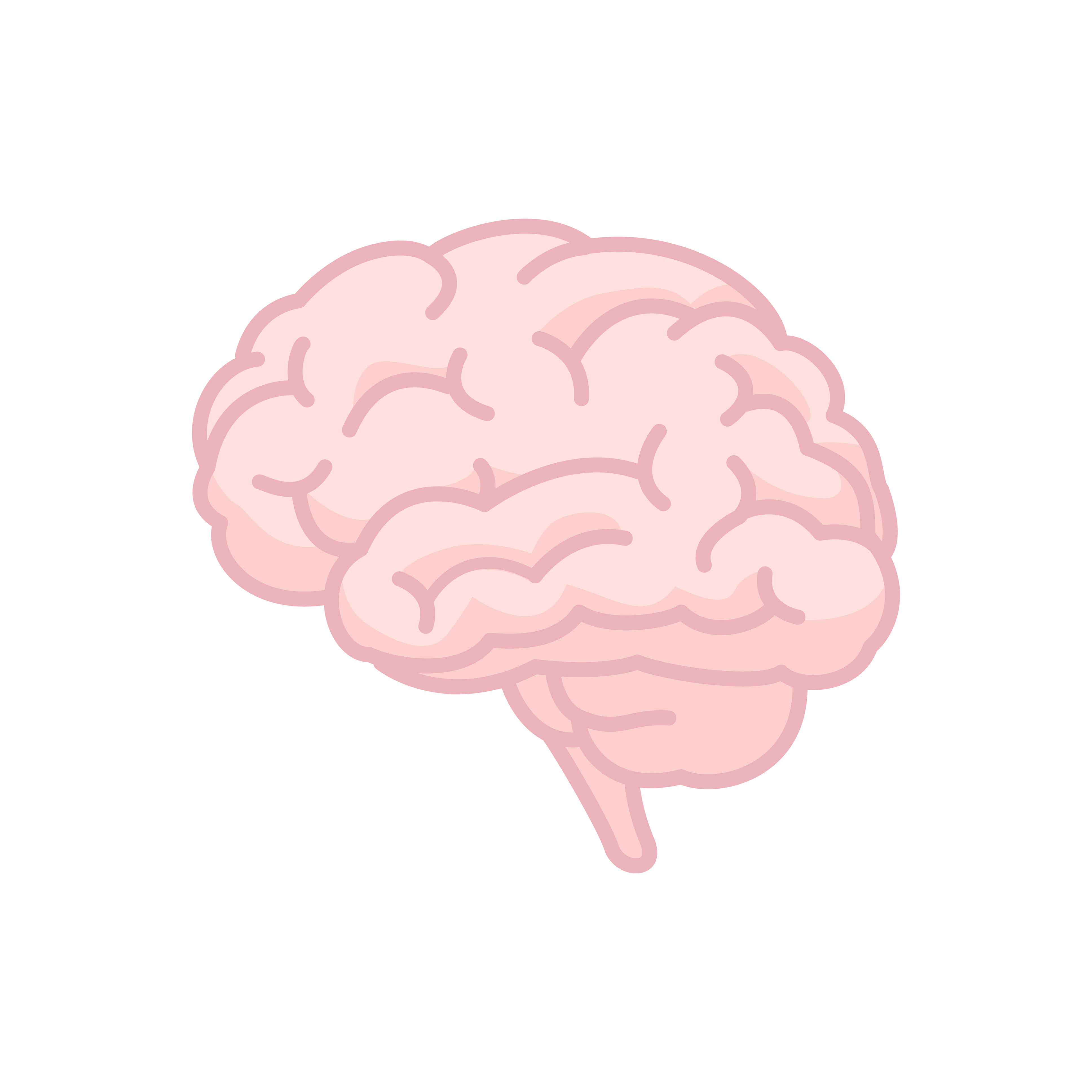 ToC Image: The Human Brain
