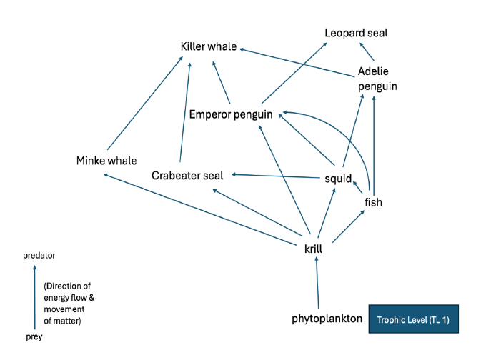 ToC Image: food web
