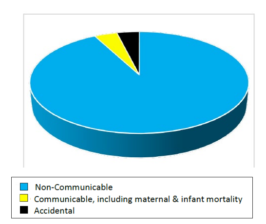 ToC Image: Global Causes of Death pie chart
