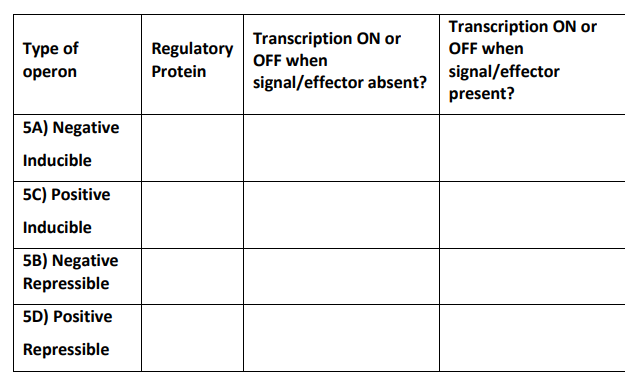 ToC Image: Table summarizing induible operons and transcription ON/OFF