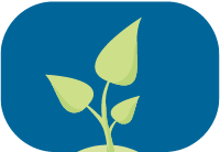 ToC: The PAC leaf